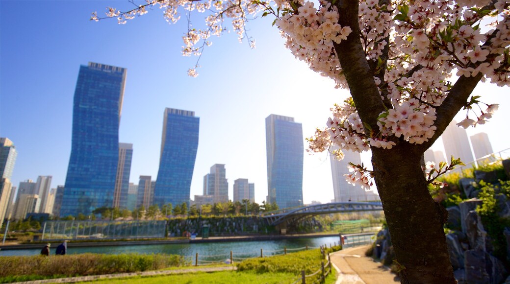 Parc Songdo Central Park qui includes fleurs sauvages, gratte-ciel et coucher de soleil