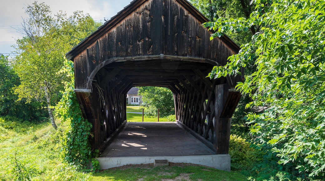 Puente cubierto de Baltimore