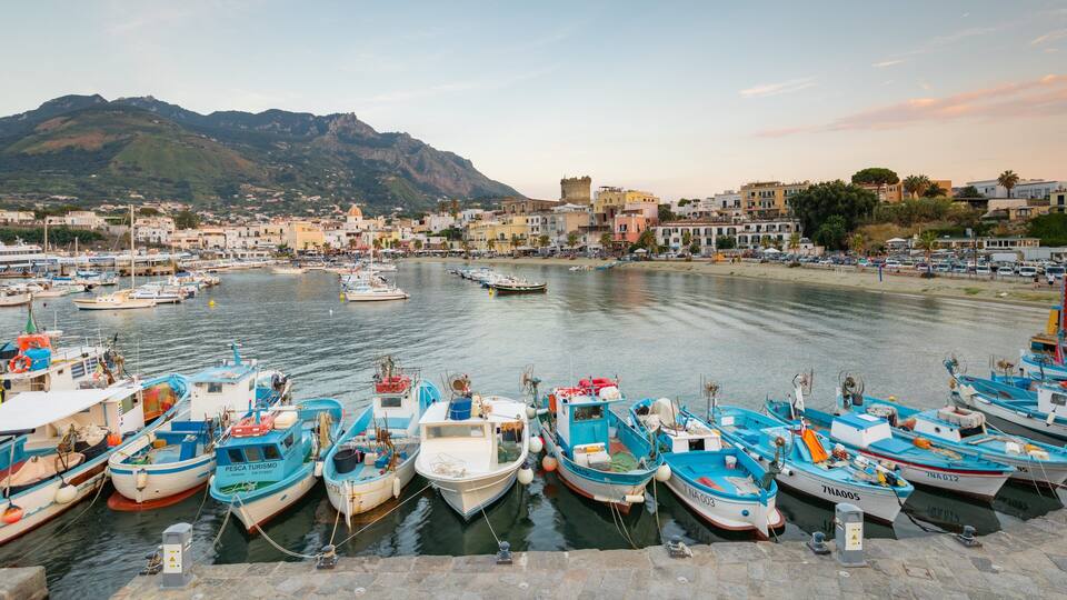 A harbor with numerous boats docked, a mountainous backdrop, and a coastal town with buildings.