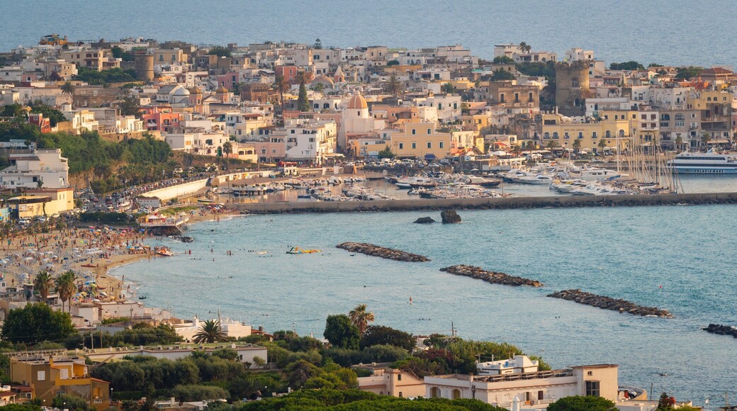 Port of Forio featuring a coastal town and general coastal views