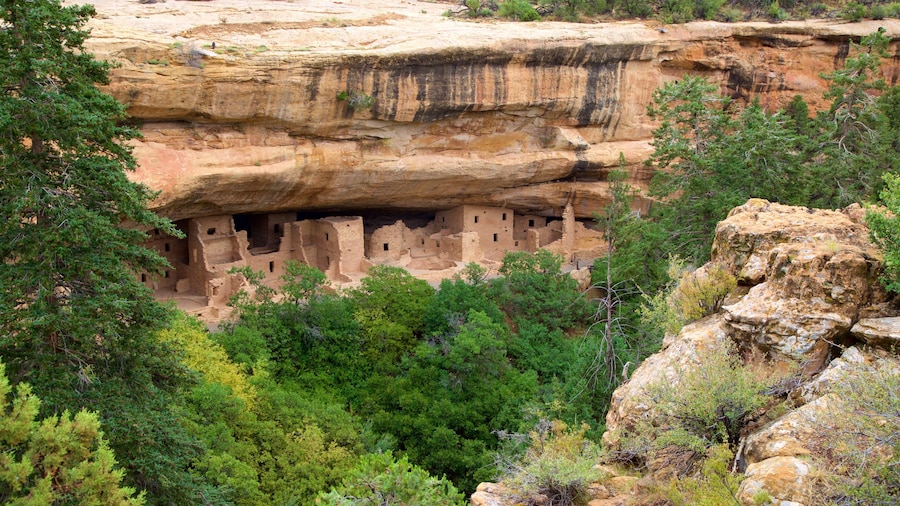 Mesa Verde National Park featuring heritage elements, a gorge or canyon and building ruins