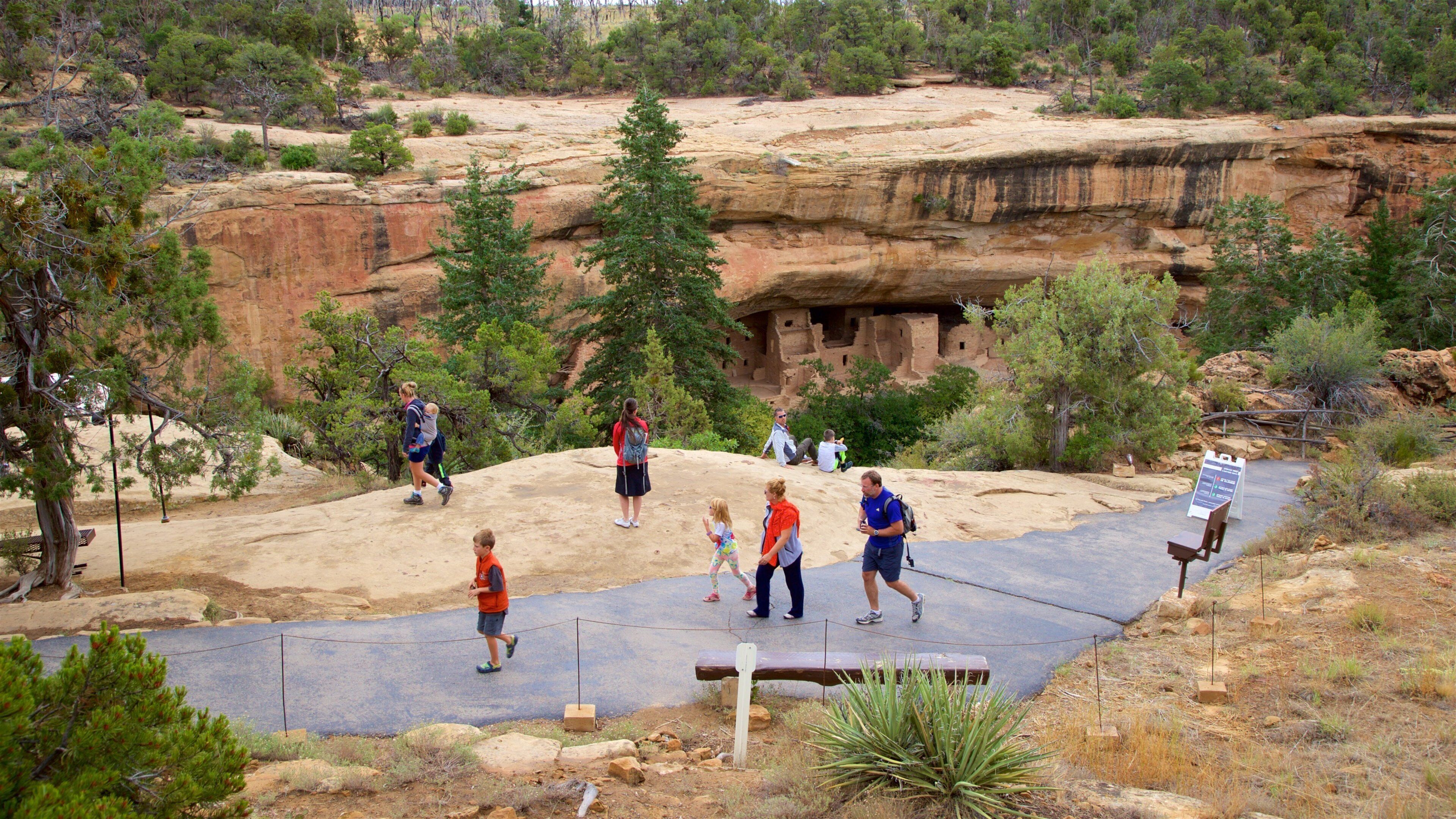 Spruce Tree House showing a gorge or canyon as well as a small group of people