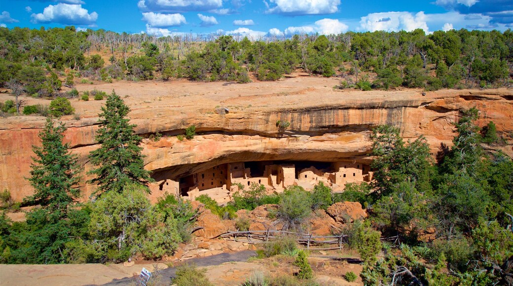 Spruce Tree House which includes landscape views and a gorge or canyon