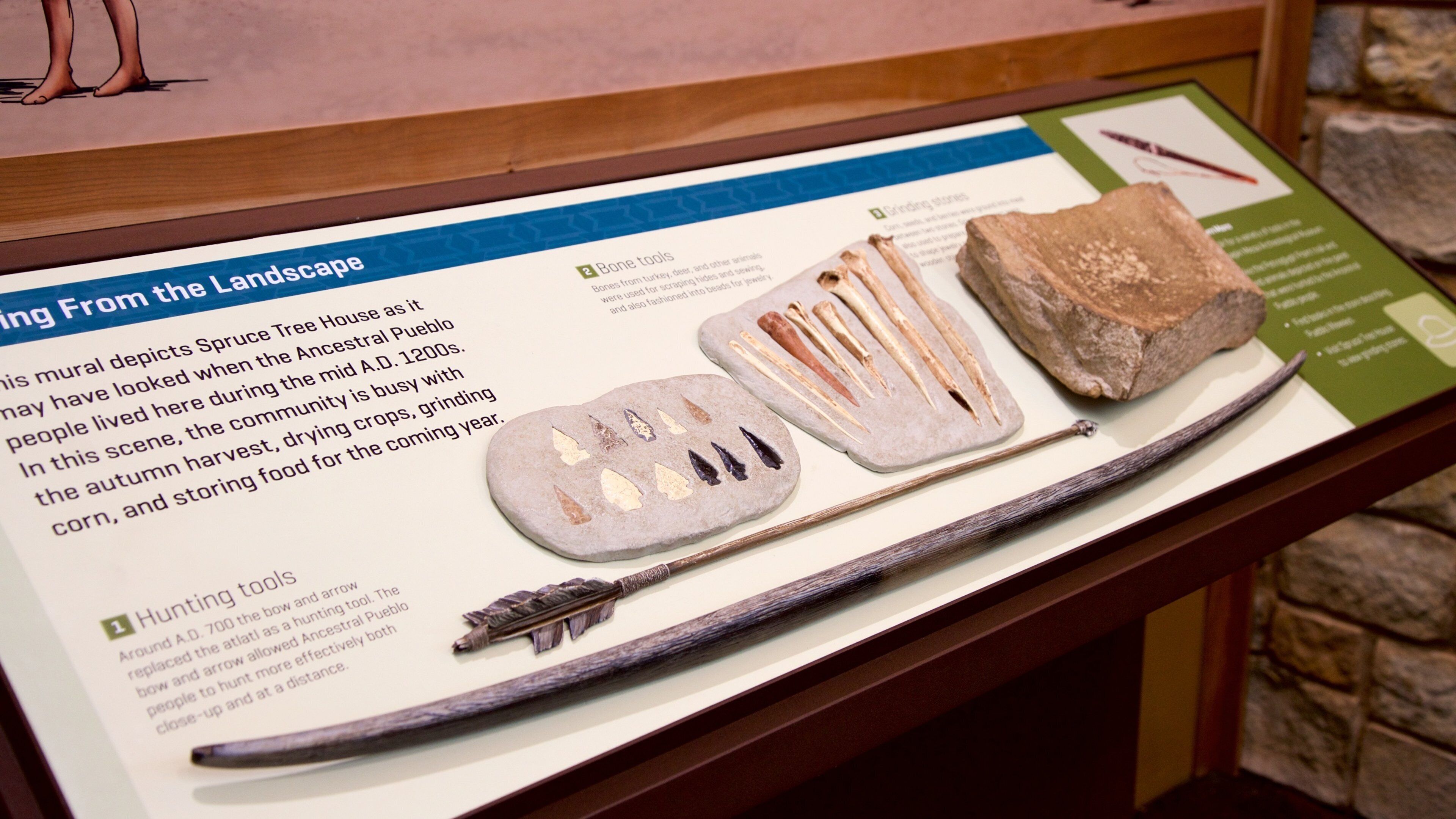 Mesa Verde Visitor and Research Center featuring interior views and indigenous culture