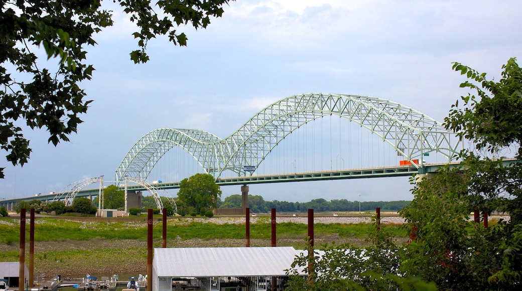 Hernando de Soto Bridge showing modern architecture and a bridge