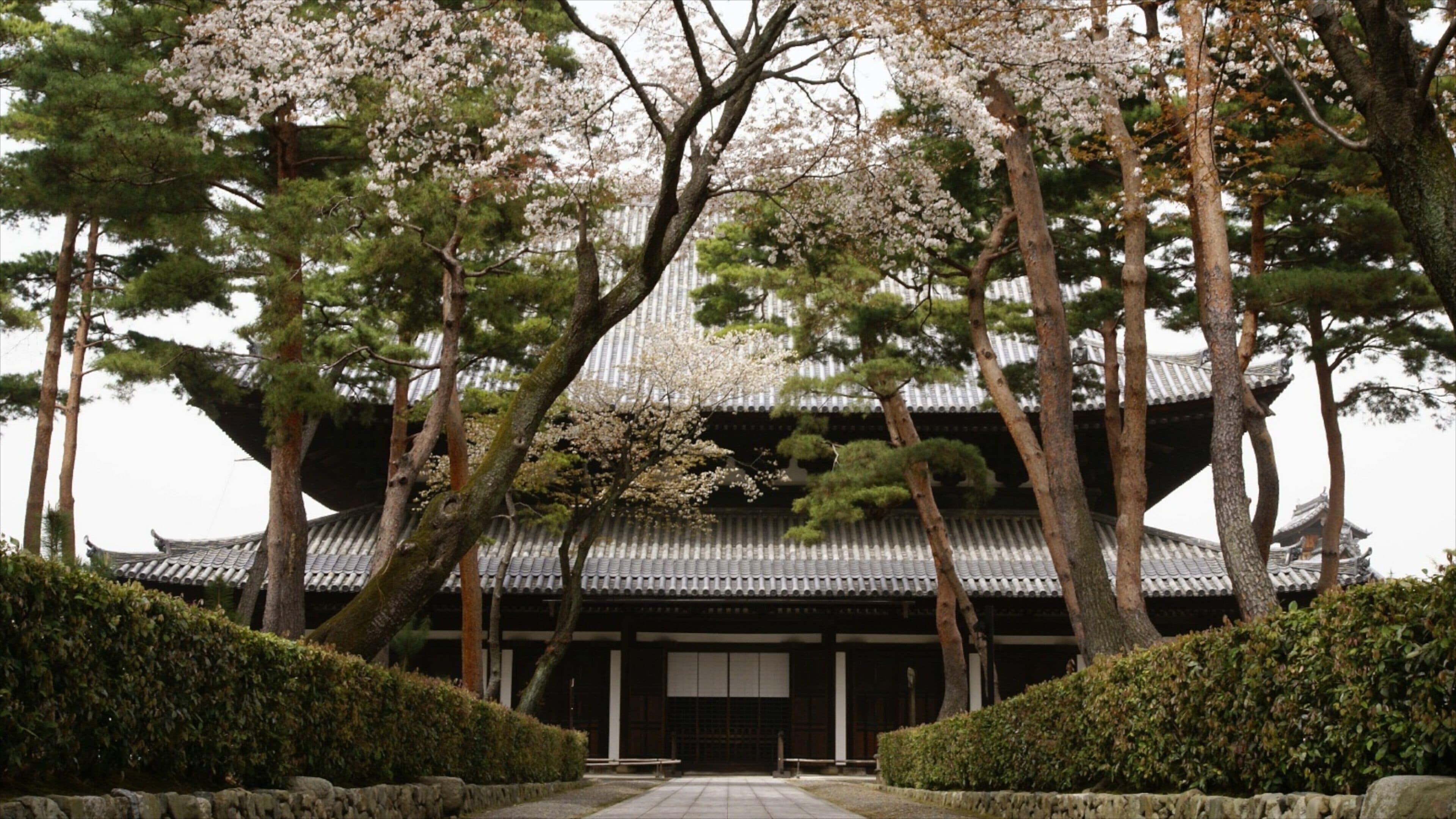 Shokoku-ji Temple showing a temple or place of worship and a garden
