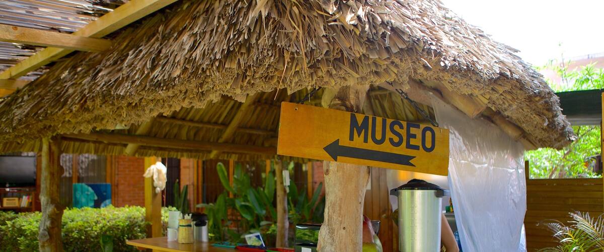 Azul Maya Archaeological Museum featuring signage and a bar