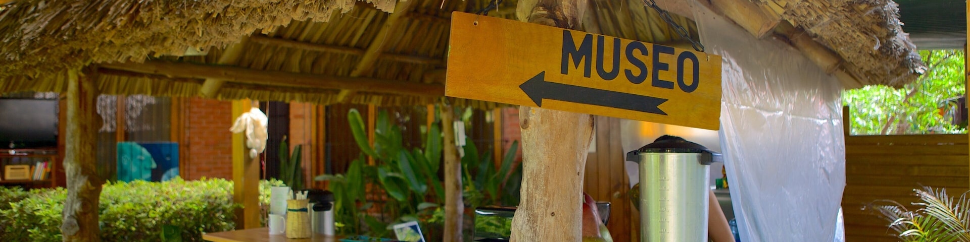 Azul Maya Archaeological Museum featuring signage and a bar