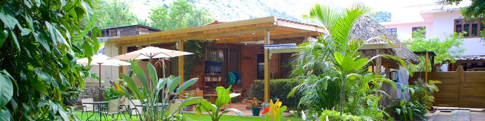 Lake Atitlan which includes a garden