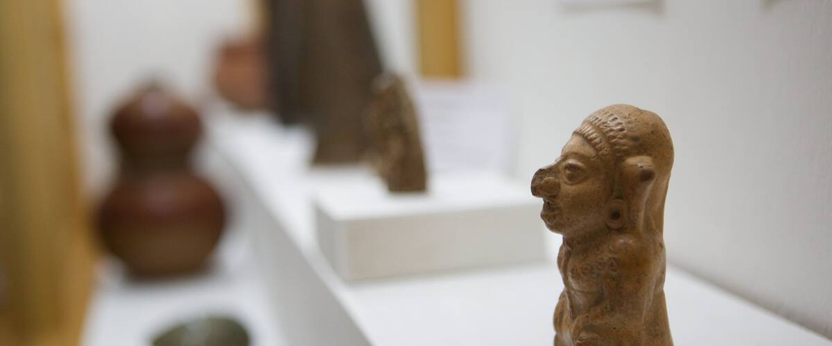 Solola que incluye vista interna