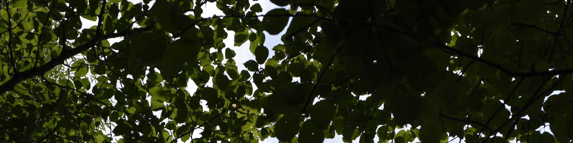 Vietnam Veterans Memorial, Bald Hill, Long Island, New York