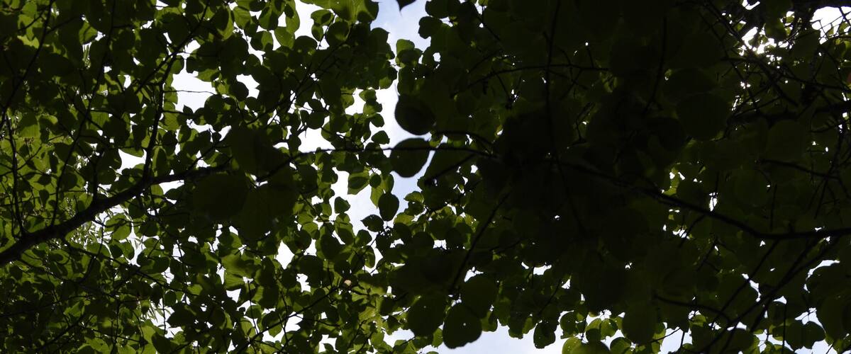 Vietnam Veterans Memorial, Bald Hill, Long Island, New York