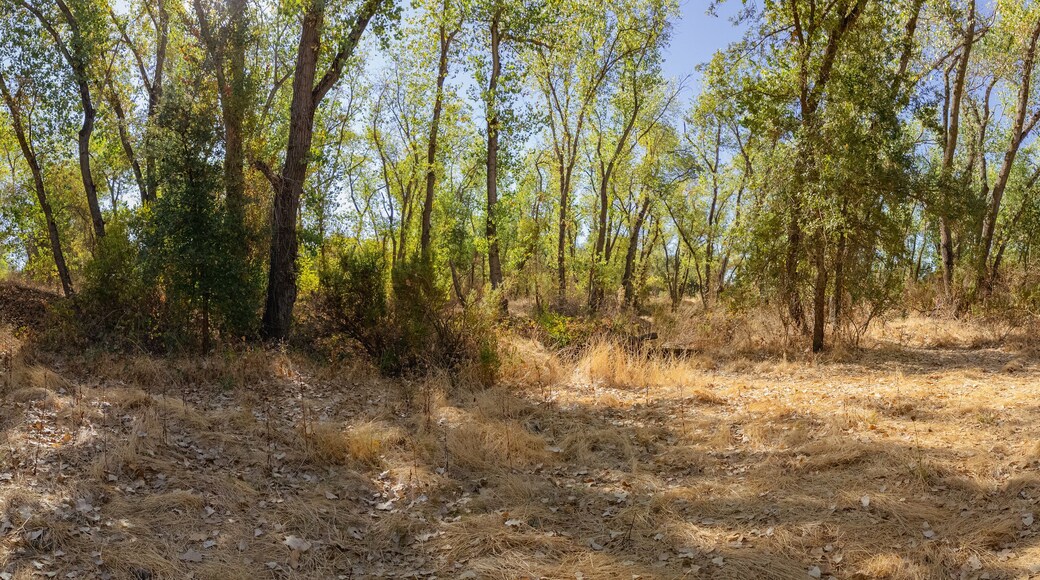 American River Bike Trail