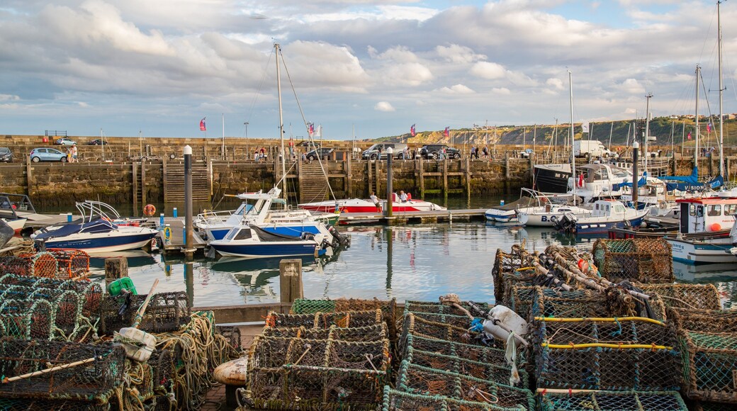 Scarborough Harbour as well as a small group of people