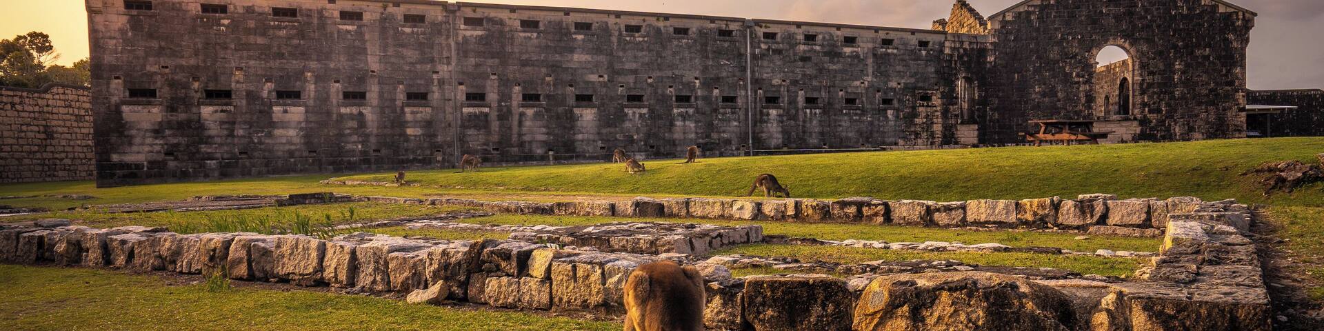 What was once a Gaol is now home to several families of Kangaroos and a popular camping spot. #history