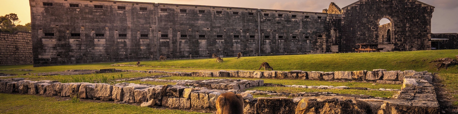 What was once a Gaol is now home to several families of Kangaroos and a popular camping spot. #history