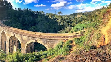 The Nine Arches Bridge is one of the iconic bridges in Sri Lanka.