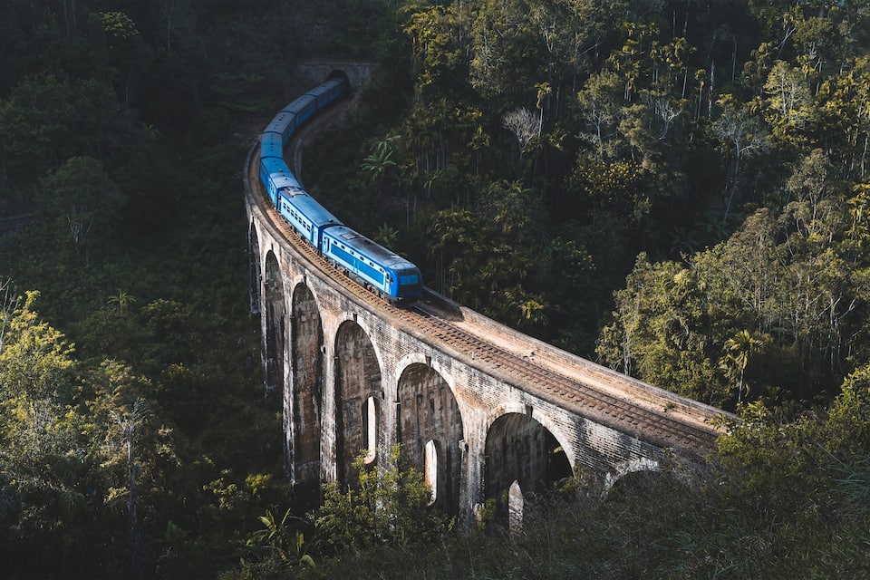 A blue train on a curved bridge through a dense forest.