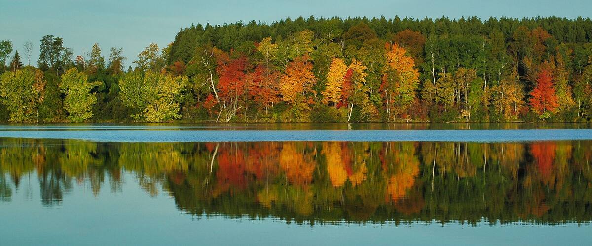 autumn landscape with trees reflecting in lake. River flow in lake