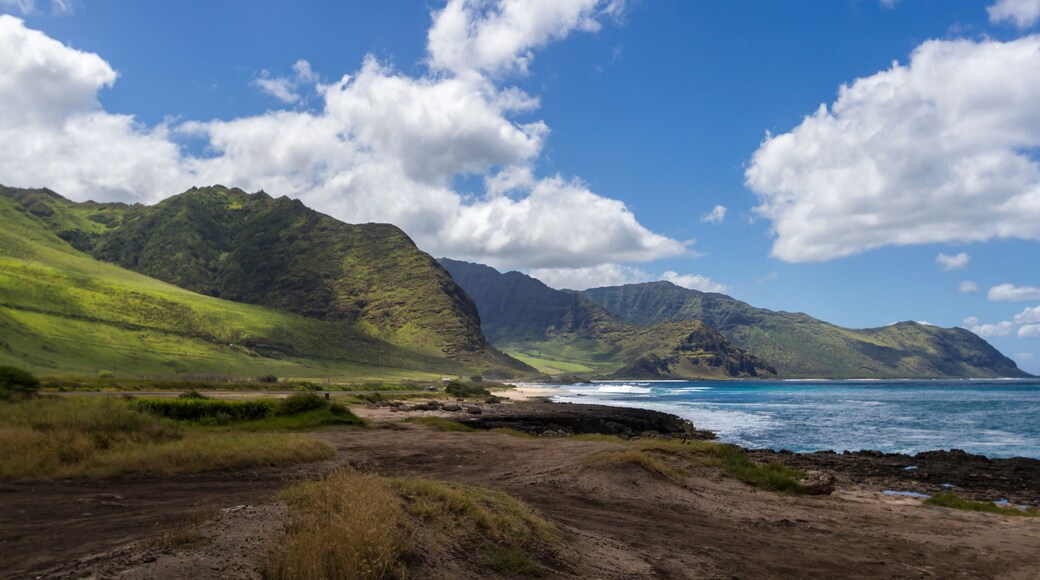 Ka'ena Point State Park