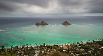 Mililani Mauka - Launani Valley