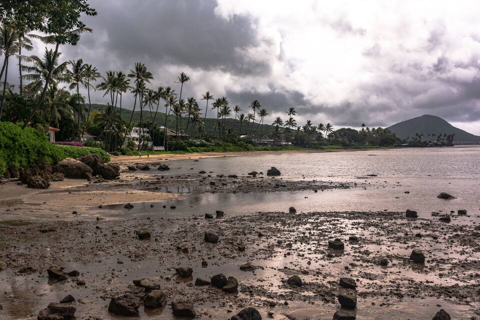 Uma praia com pedras espalhadas, palmeiras e uma montanha ao fundo.