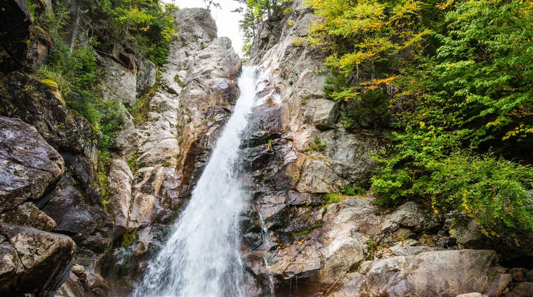 Glen Ellis Falls on the Ellis River in Pinkham Notch, New Hampshire