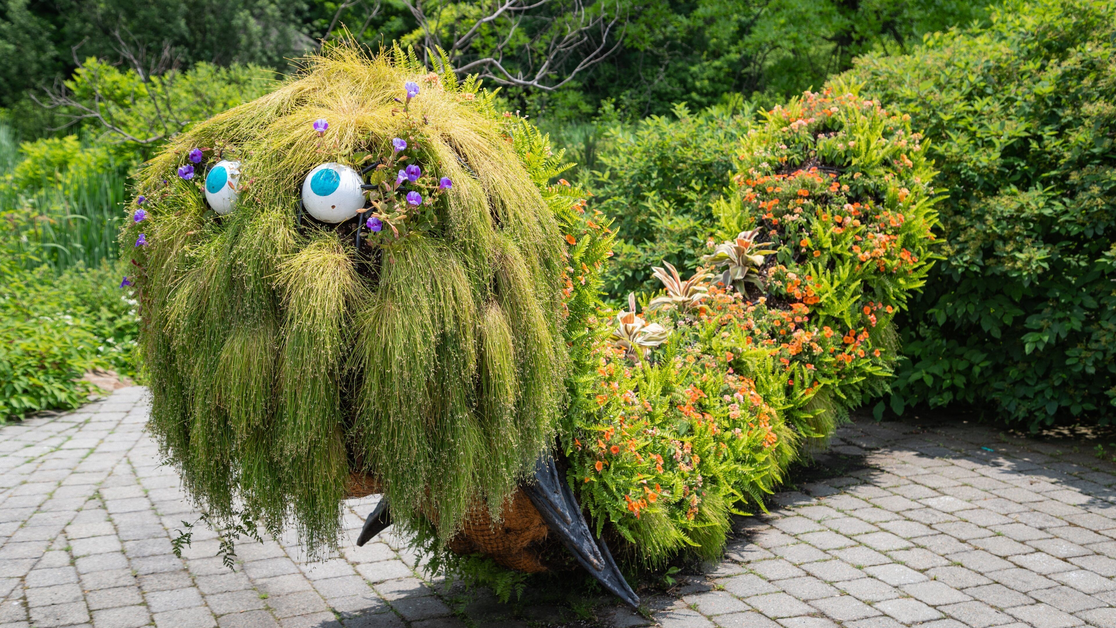 Everett Children\'s Adventure Garden featuring wildflowers and a park