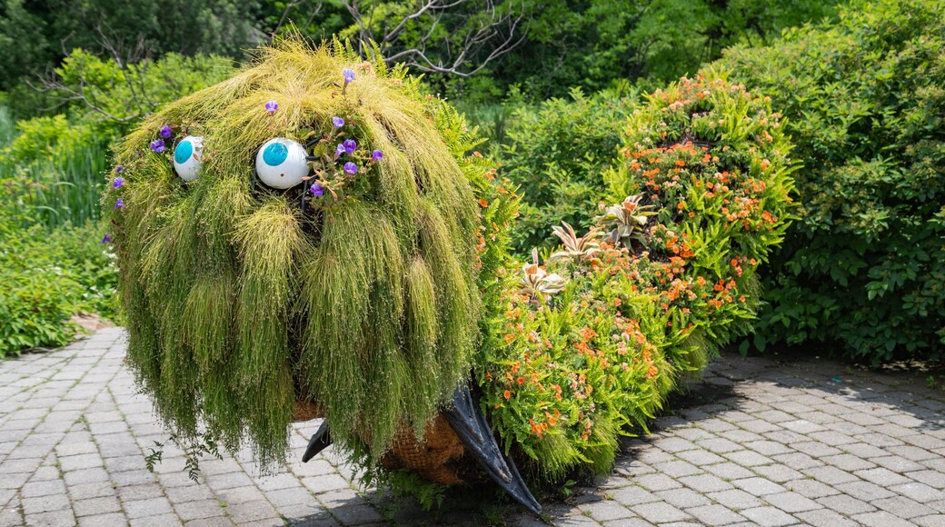 Everett Children\'s Adventure Garden featuring wildflowers and a park