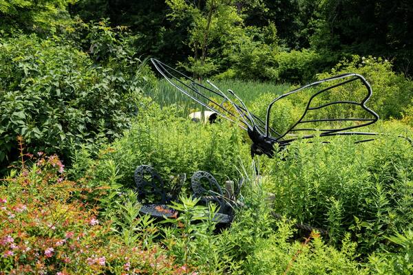 Everett Children\'s Adventure Garden showing a park, outdoor art and wildflowers