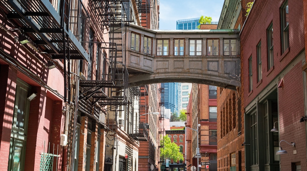 Tribeca showing a city