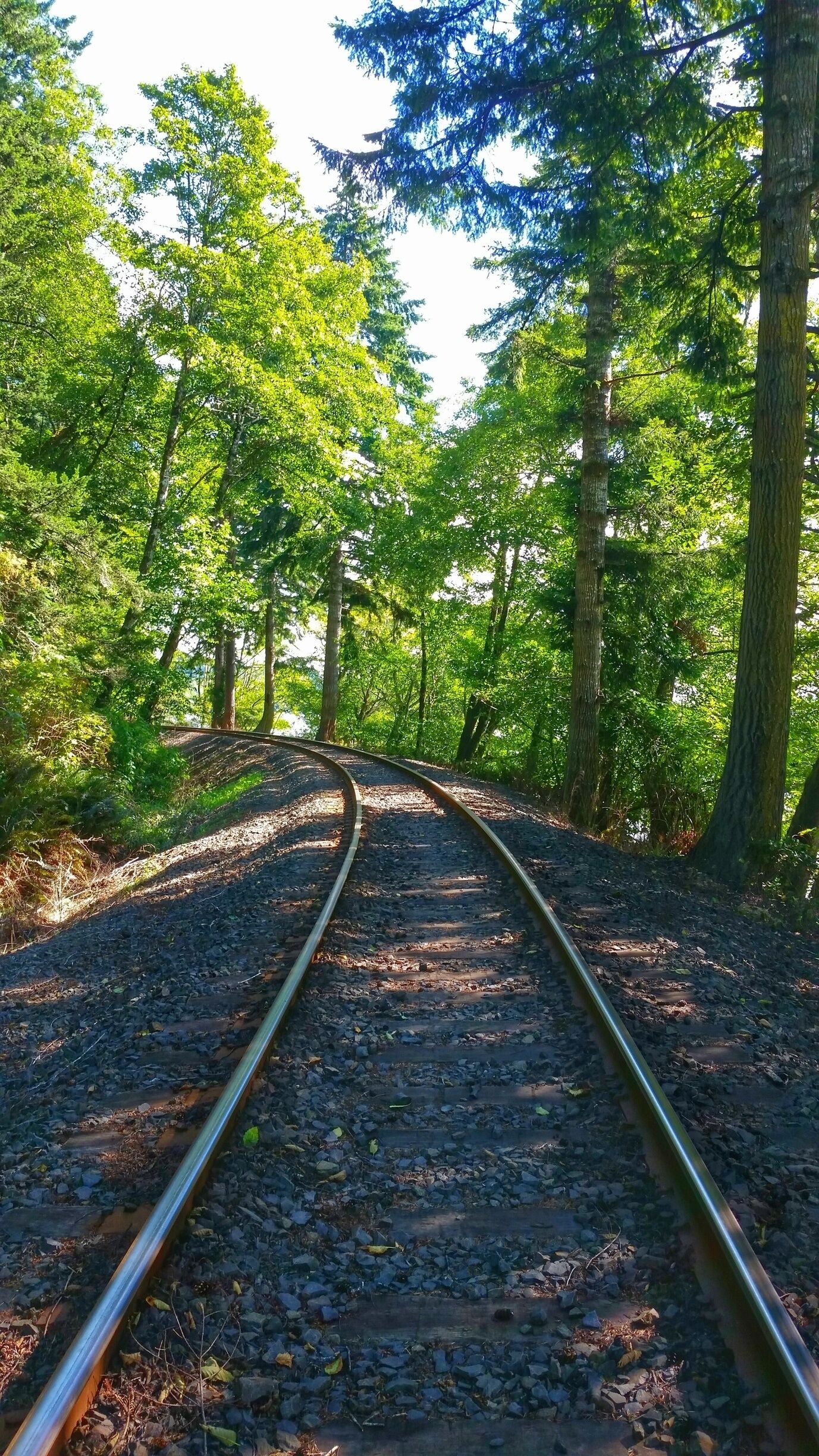 Walking the train tracks along Siltcoos Lake.  