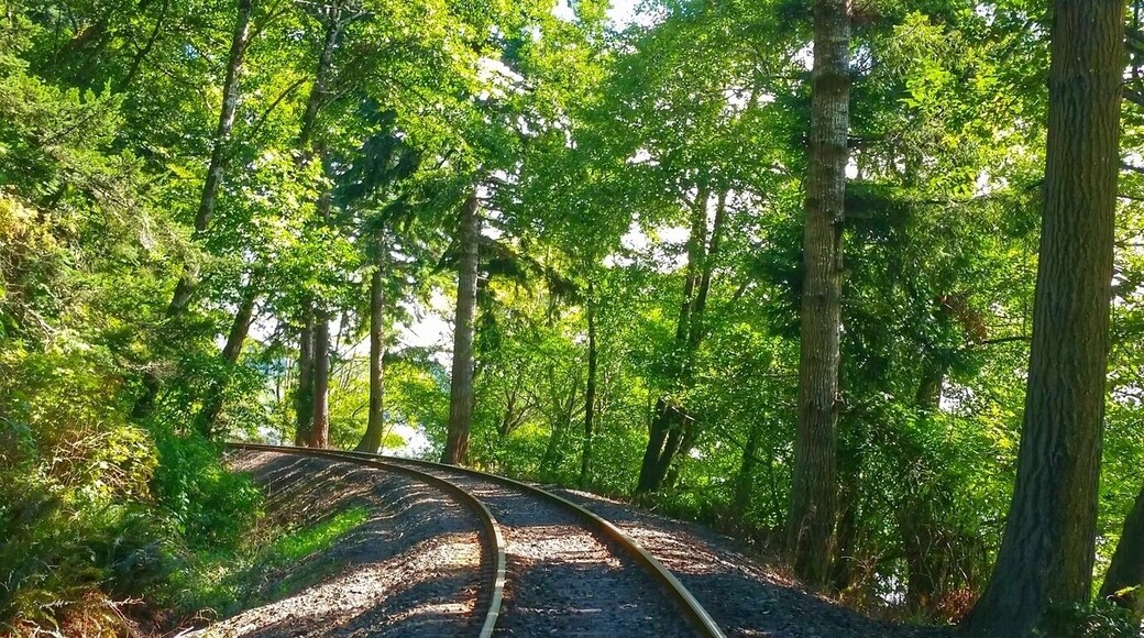 Walking the train tracks along Siltcoos Lake.
