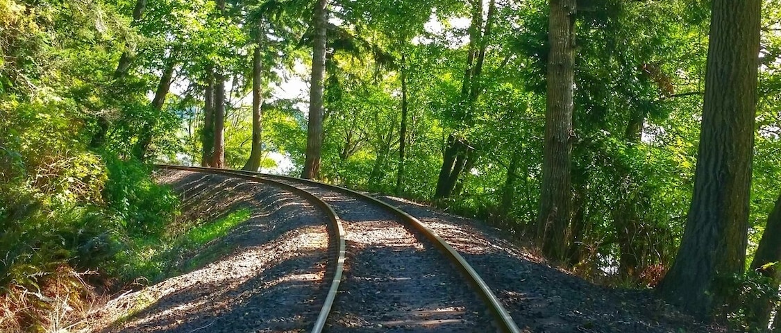 Walking the train tracks along Siltcoos Lake.