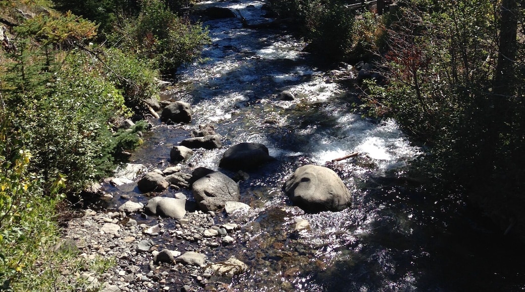 Beautiful river hike.