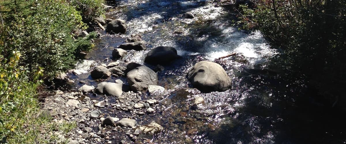 Beautiful river hike.