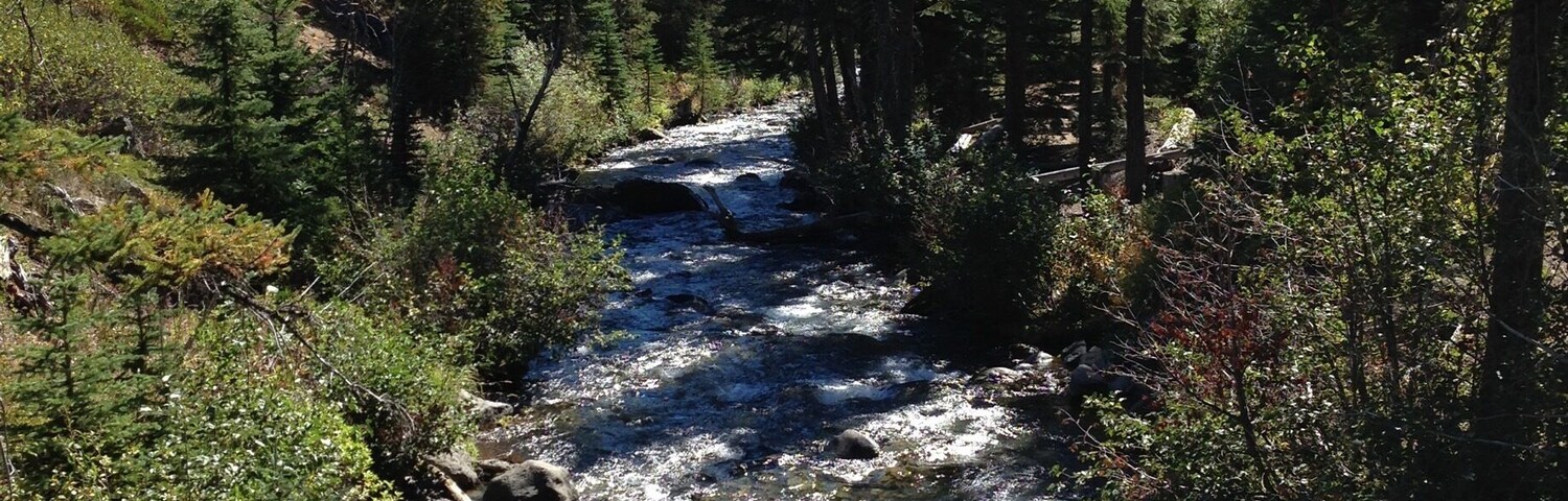 Beautiful river hike.