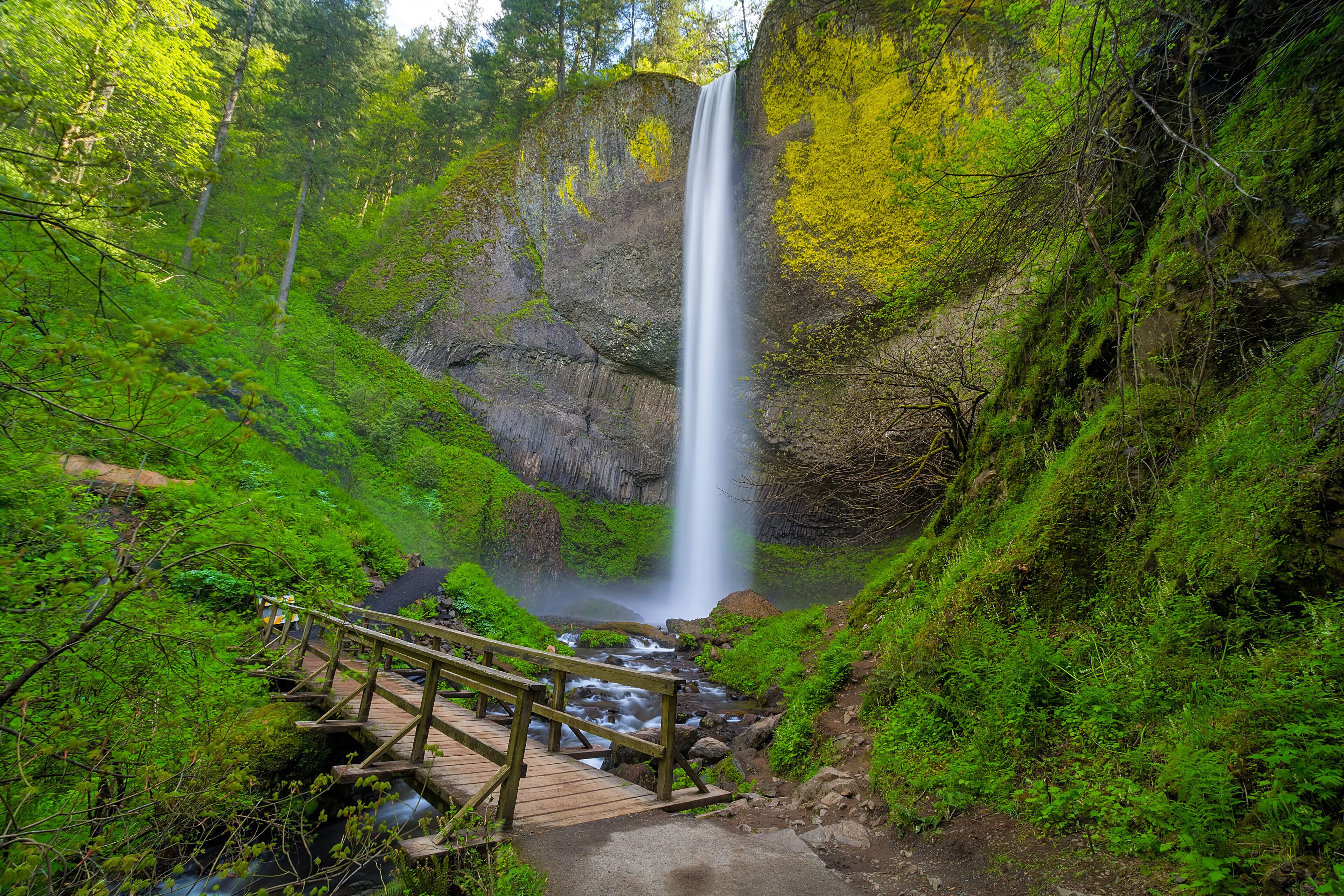 Wood Foot Bridge by Latourell Falls in Oregon USA America