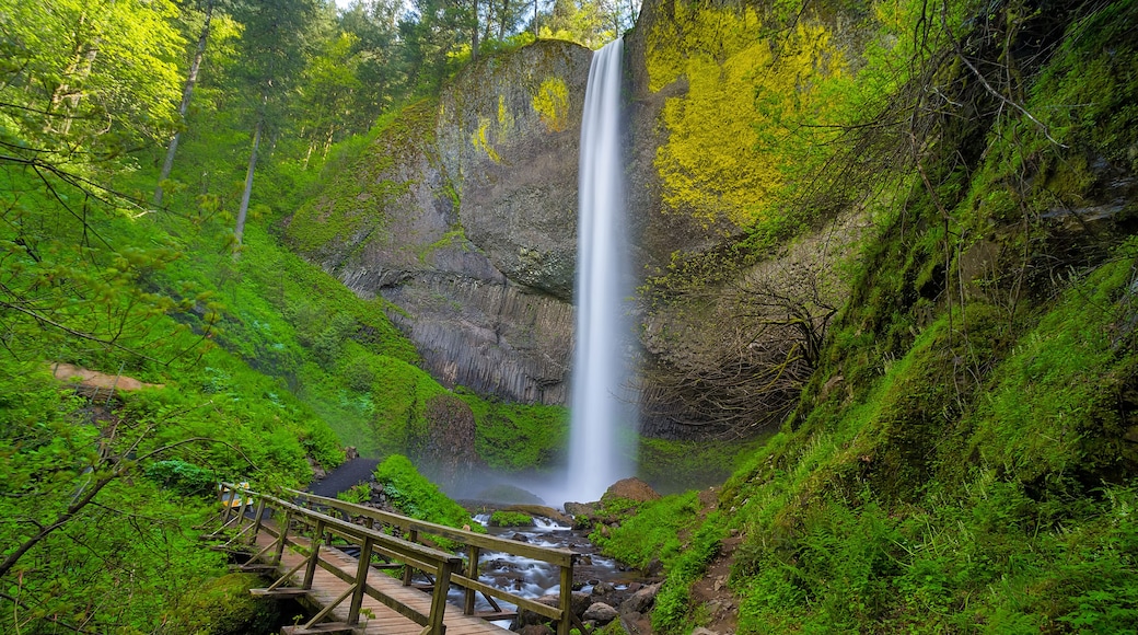 Wood Foot Bridge by Latourell Falls in Oregon USA America