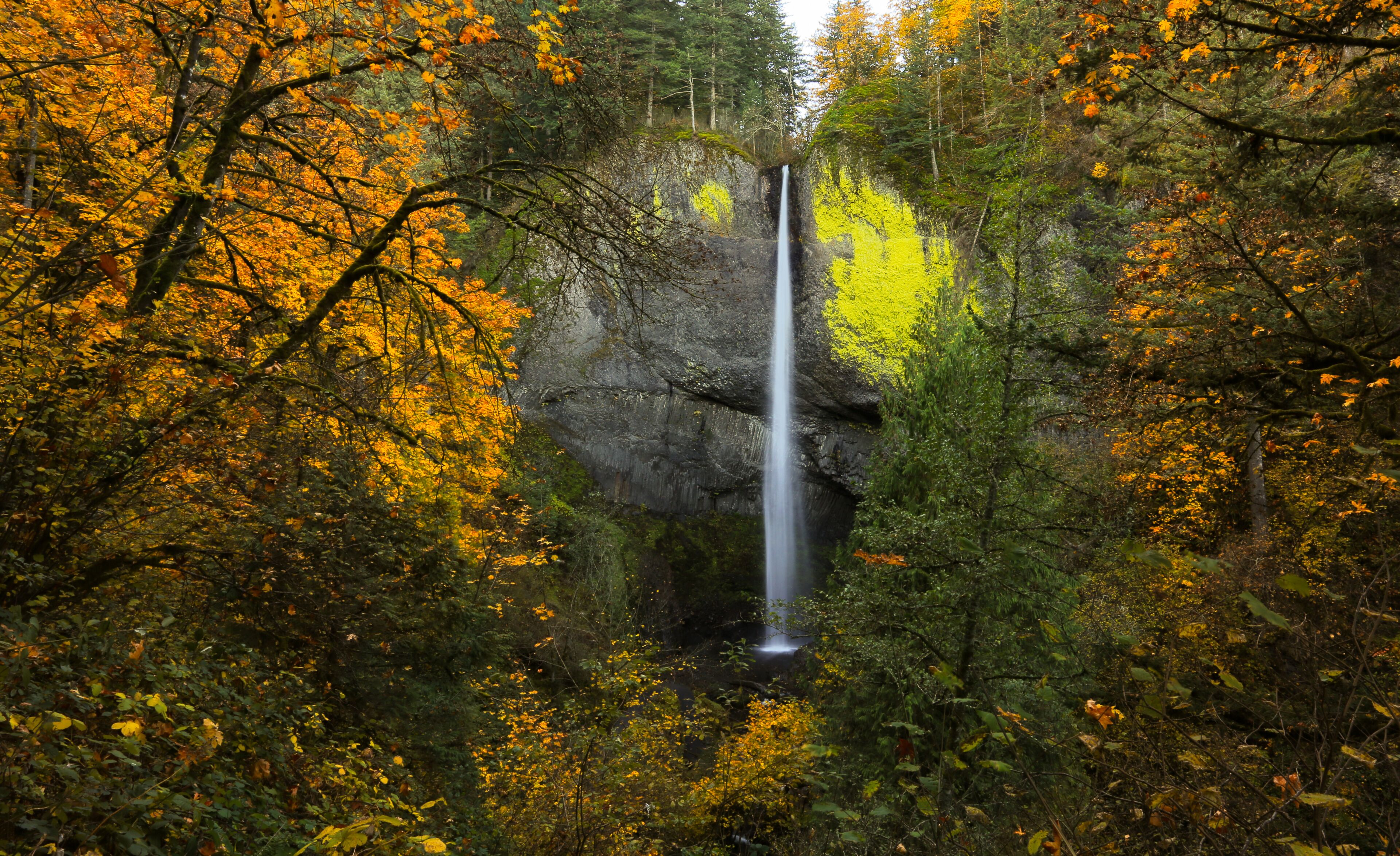 Latourell Falls