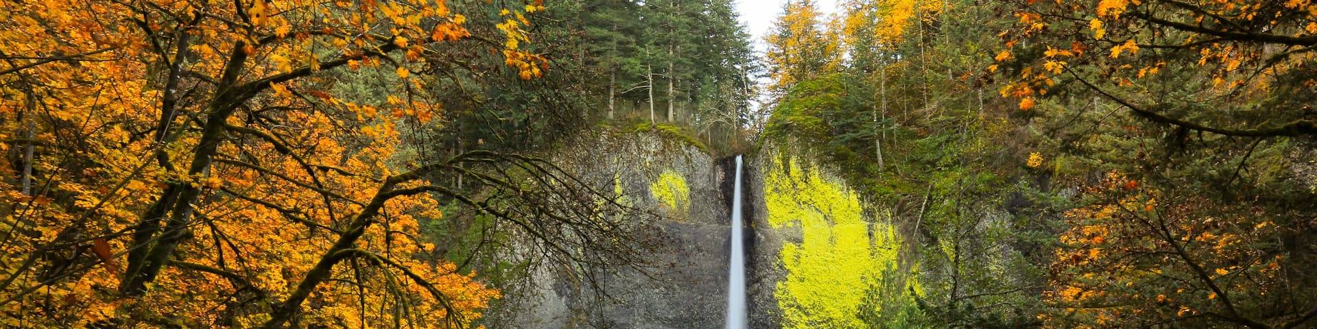 Latourell Falls in Oregon's Columbia River Gorge in Autumn, long exposure.