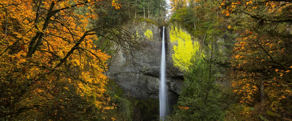 A waterfall surrounded by autumn-colored trees.