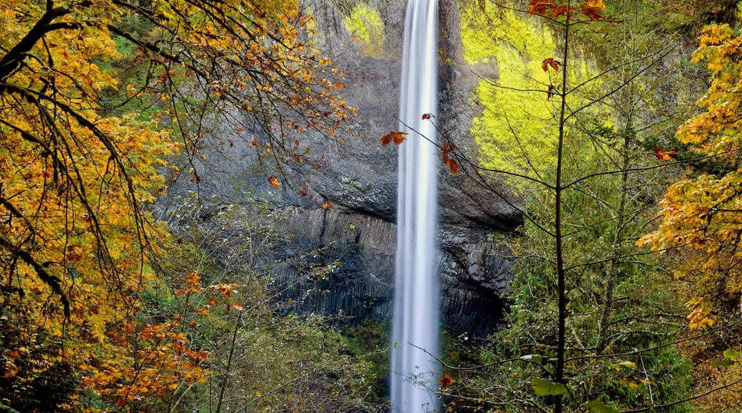 Latourell Falls in the Columbia Gorge, Oregon