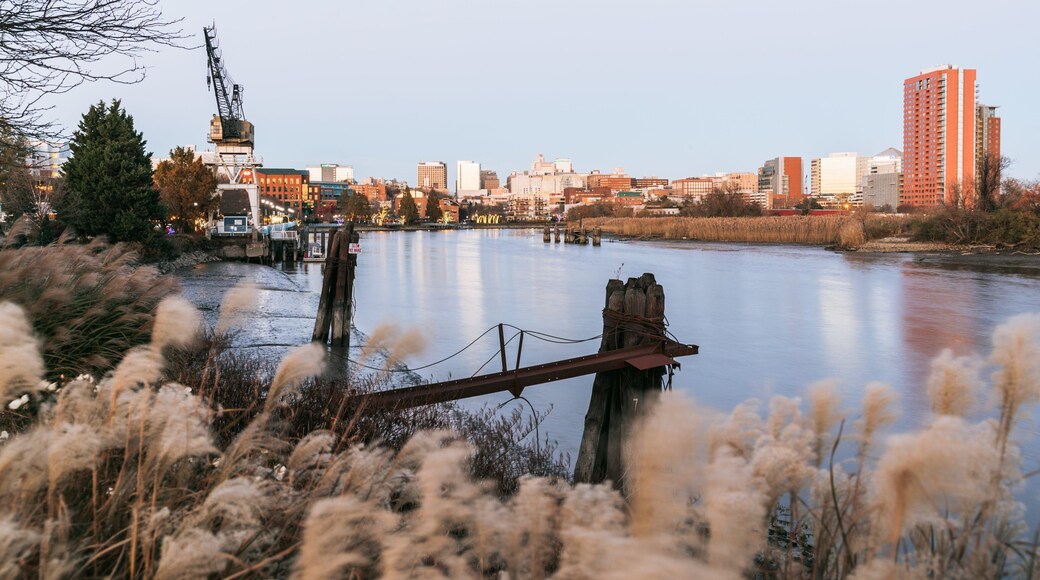Wilmington Riverwalk featuring a river or creek