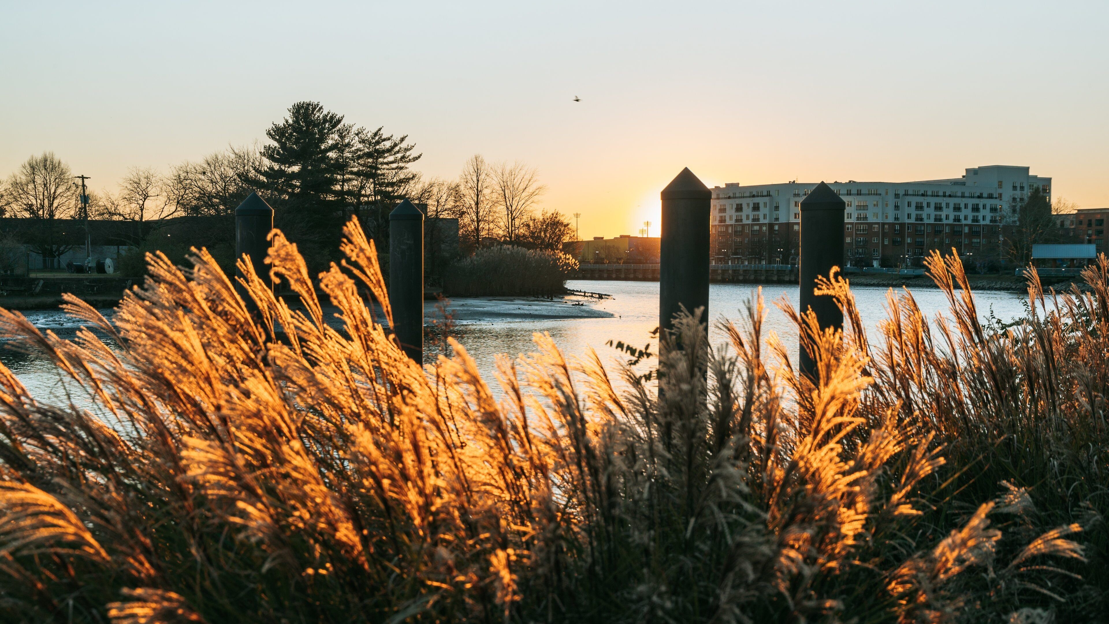 Wilmington Riverwalk showing a bay or harbor and a sunset