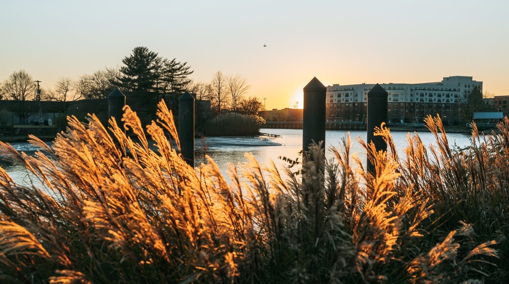 Wilmington Riverwalk showing a bay or harbor and a sunset