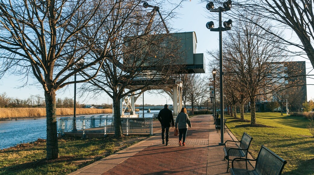 Wilmington Riverwalk featuring a park as well as a couple