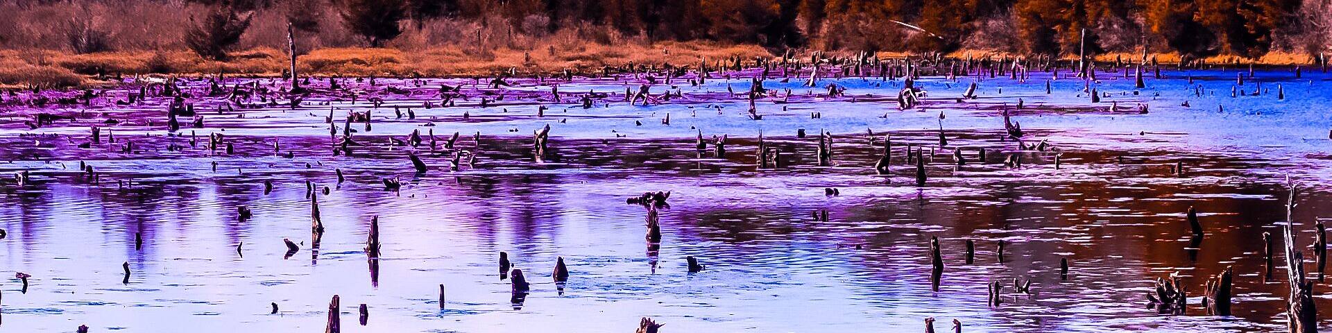 Not many shot at this park but the 2 or 3 sgots u can get is amazing at the right tume of day. Tgis park is great if u just want to taken a nature walk.