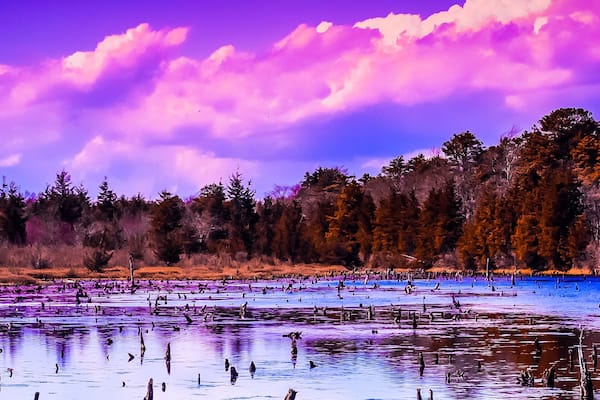 Not many shot at this park but the 2 or 3 sgots u can get is amazing at the right tume of day. Tgis park is great if u just want to taken a nature walk.