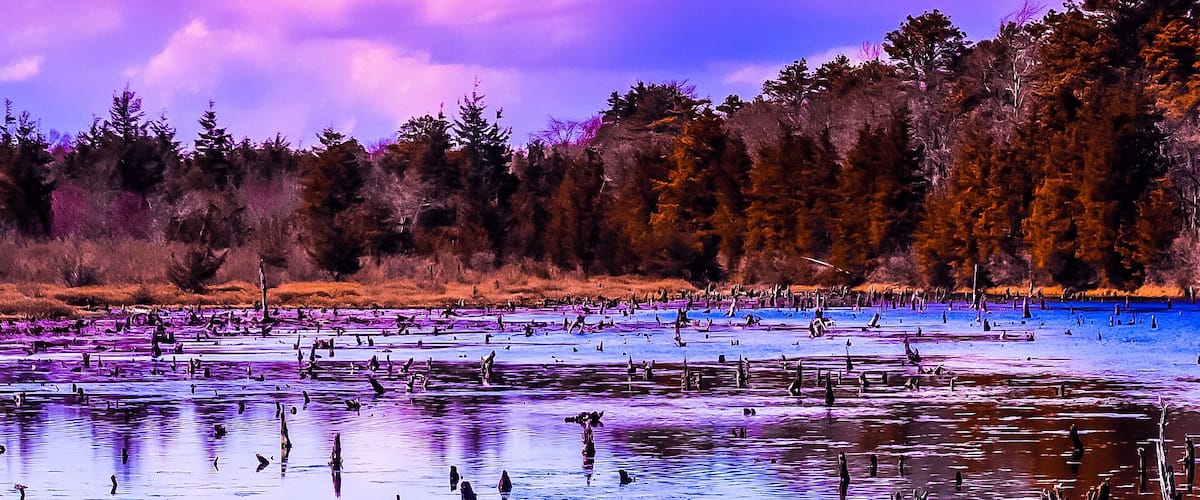 A lake with trees and a purple sky.